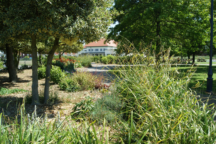 Some plants in a park, with a pavilion pictured behind them.